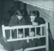The Beatles Photo